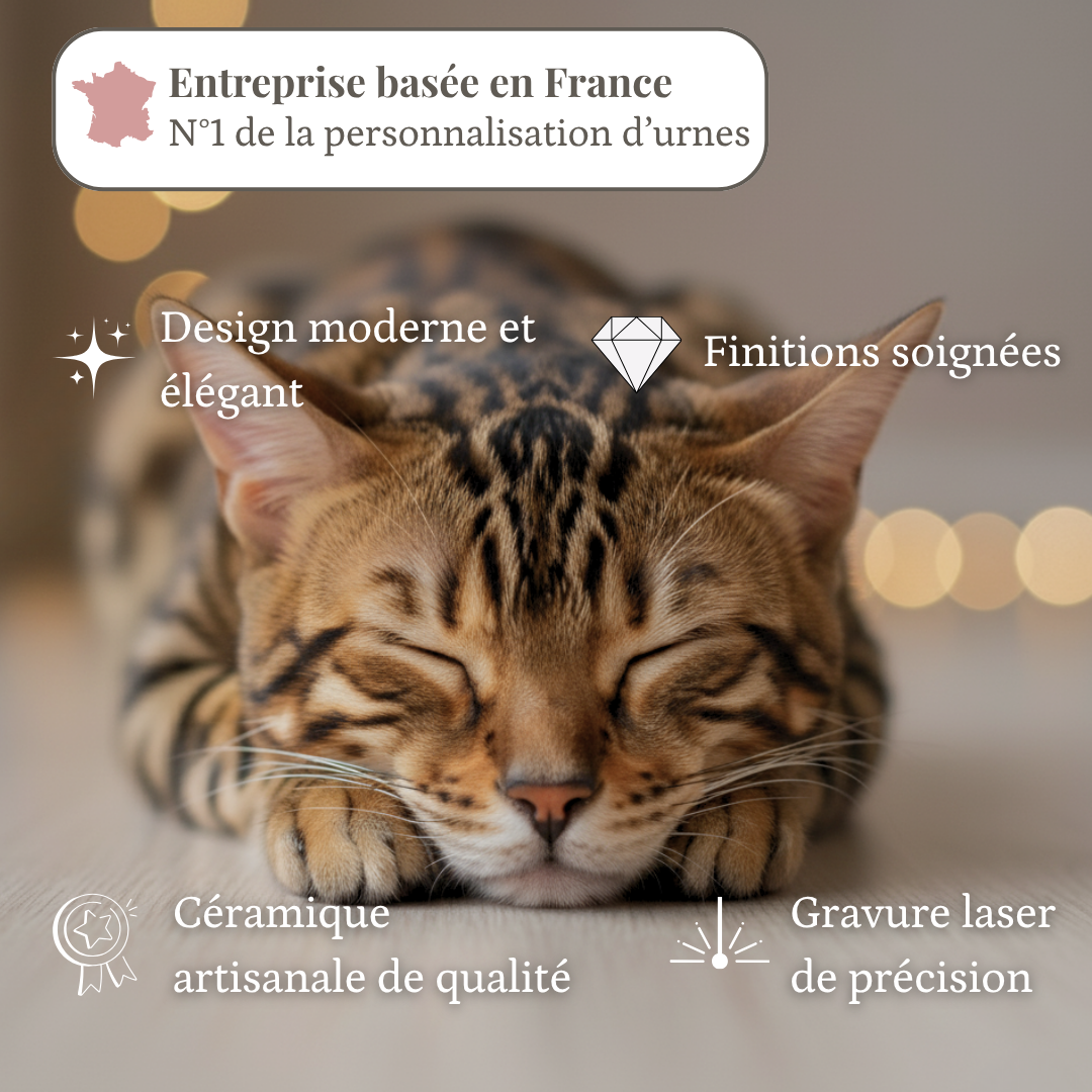 Animal urn model "Douceur"