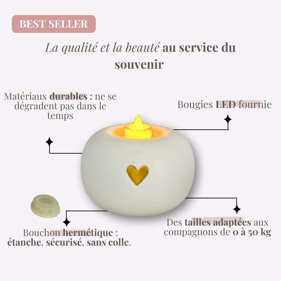 Urne "Lux" élégante