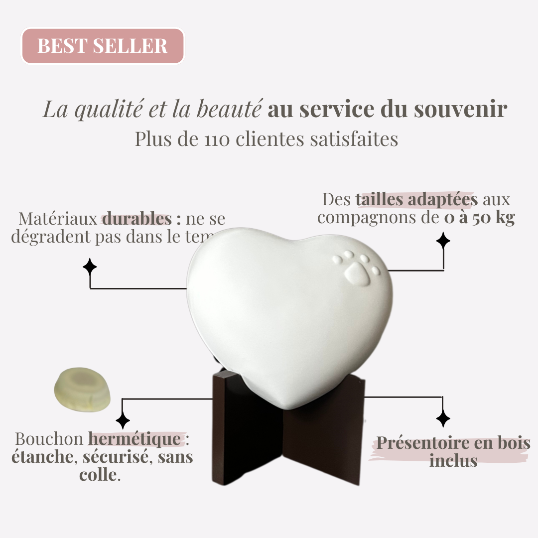 Urne "Patte d'amour" réconfortante