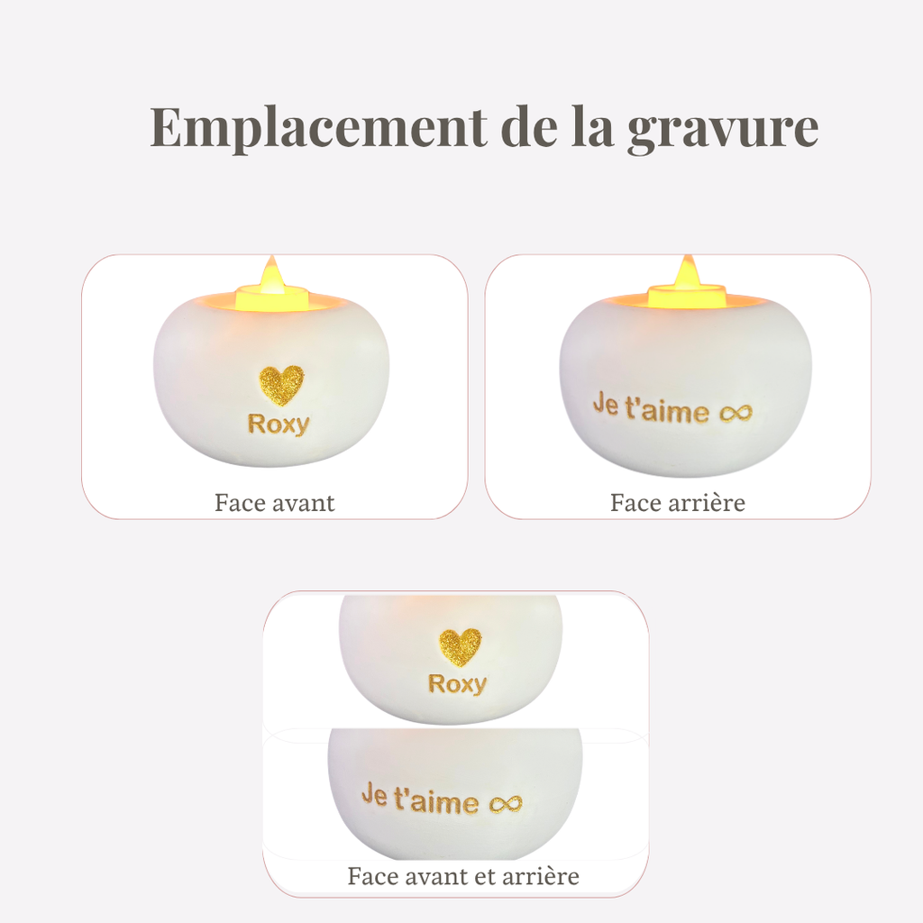 Animal urn model "Lux"